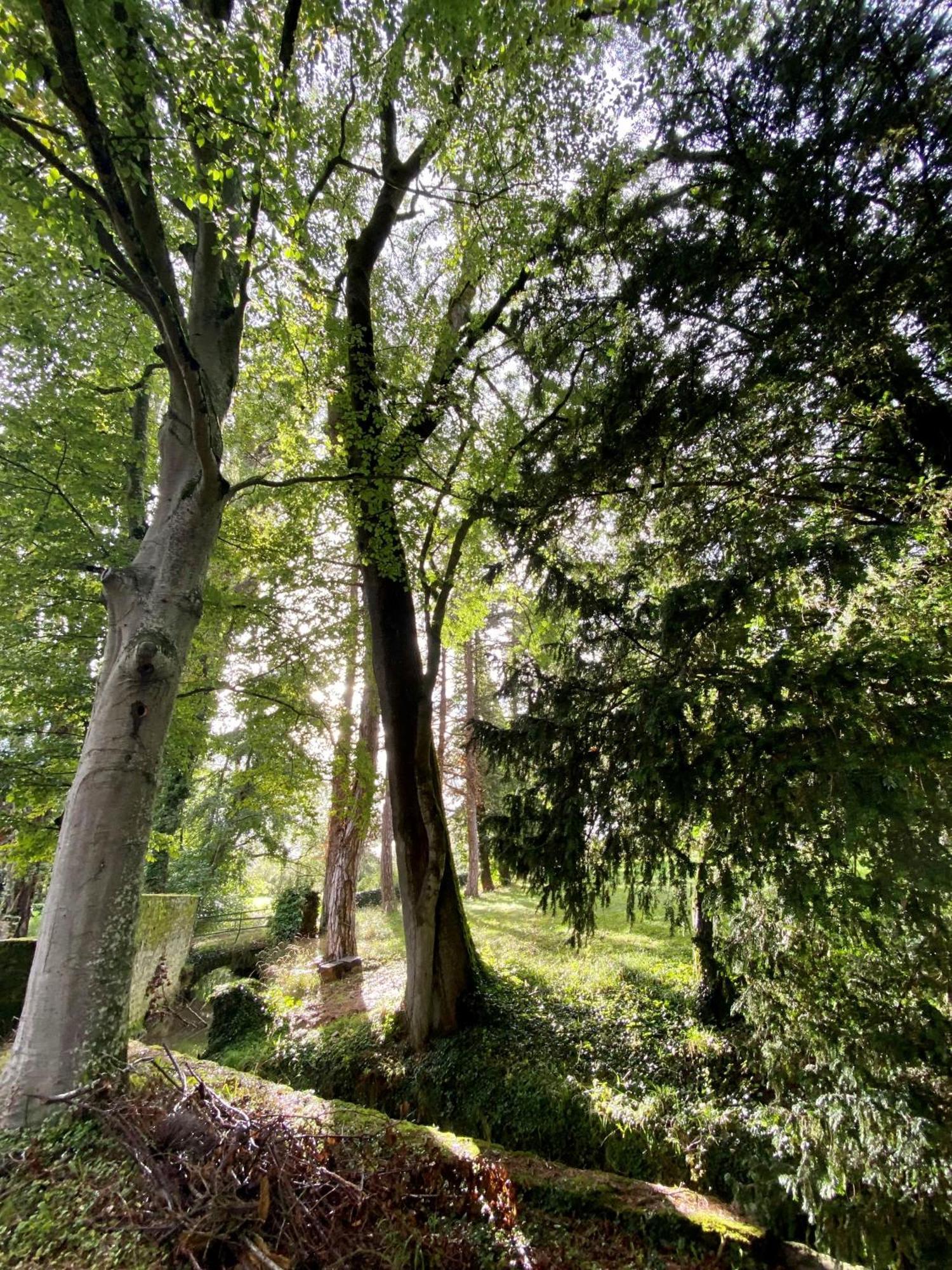 Le Domaine De Moroges Bed & Breakfast Bagian luar foto
