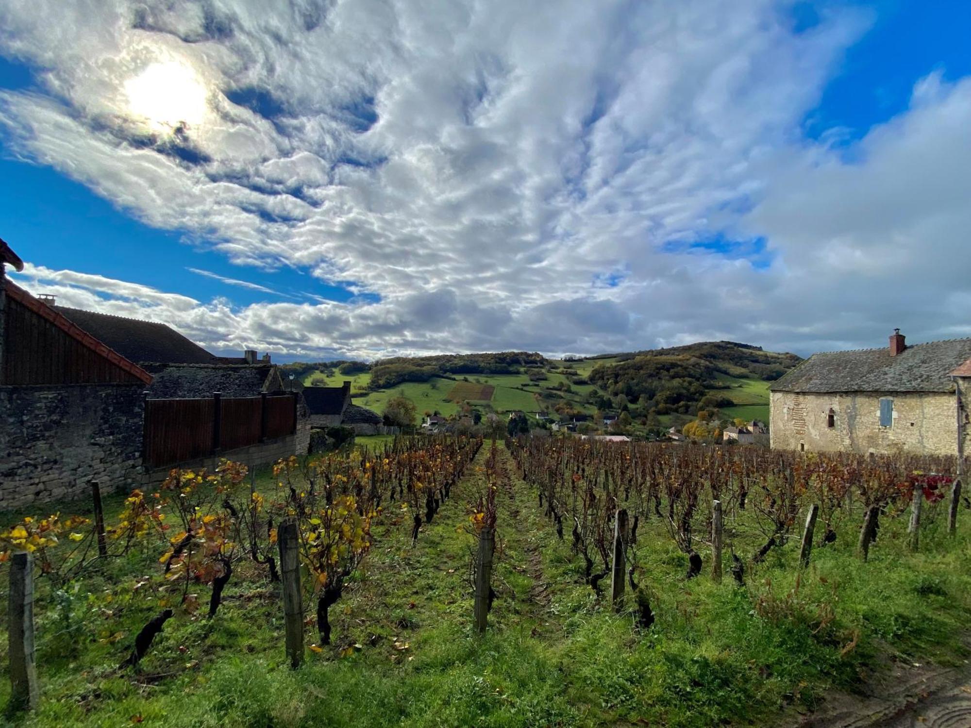 Le Domaine De Moroges Bed & Breakfast Bagian luar foto