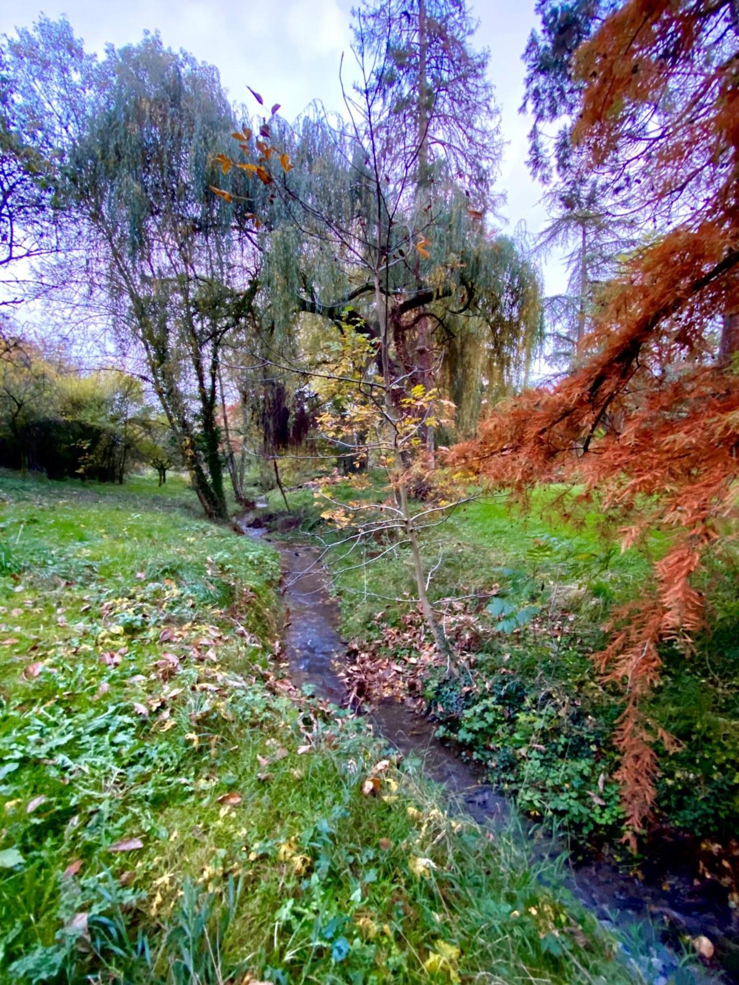 Le Domaine De Moroges Bed & Breakfast Bagian luar foto