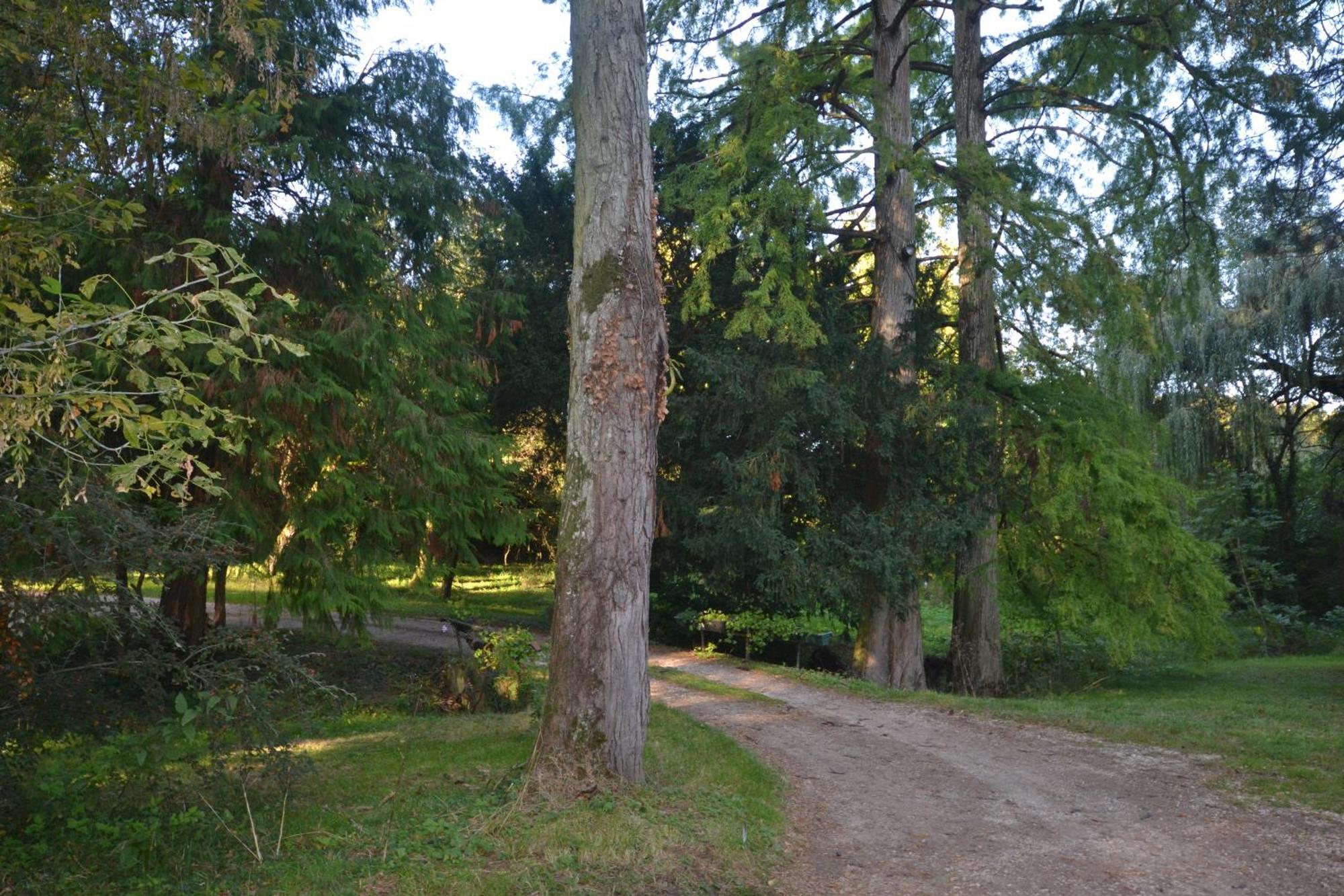 Le Domaine De Moroges Bed & Breakfast Bagian luar foto